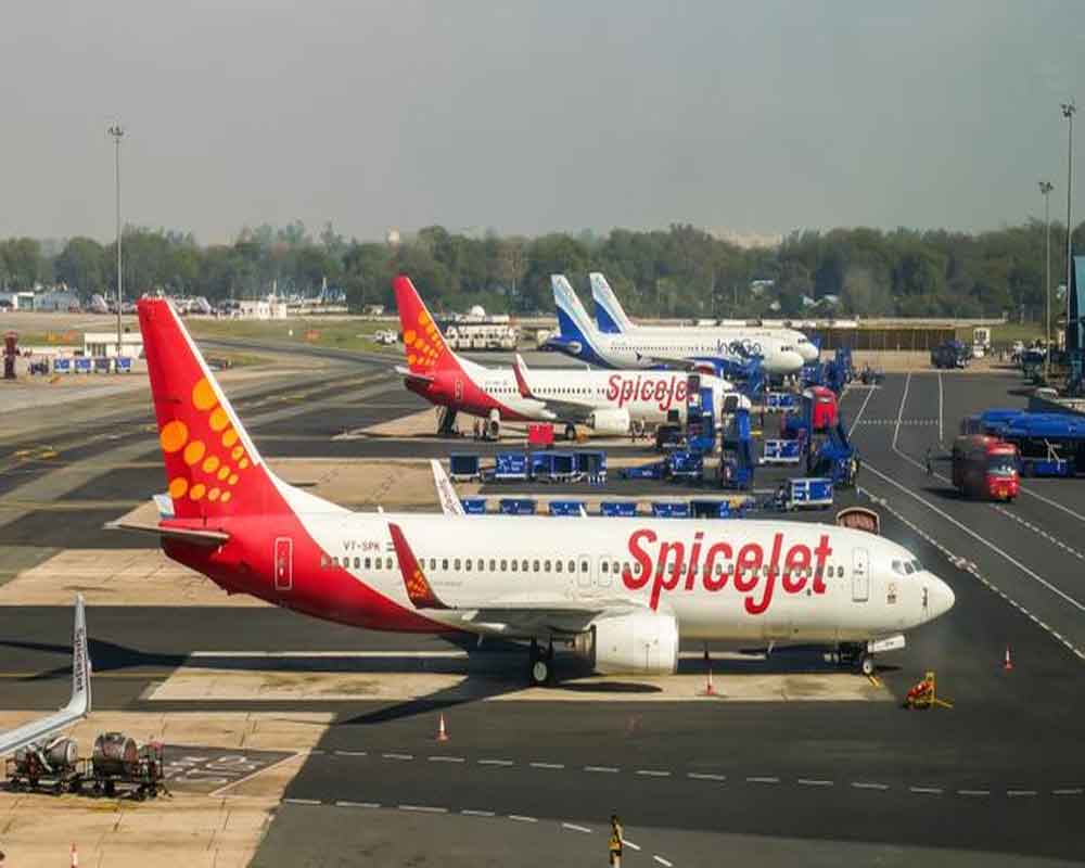SpiceJet plane from Belgavi suffers bird hit; lands safely at Delhi airport