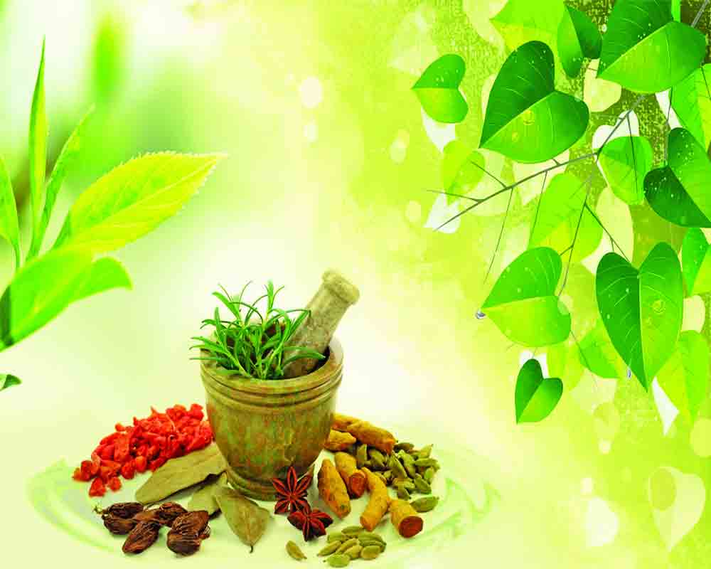 The ayurveda circle