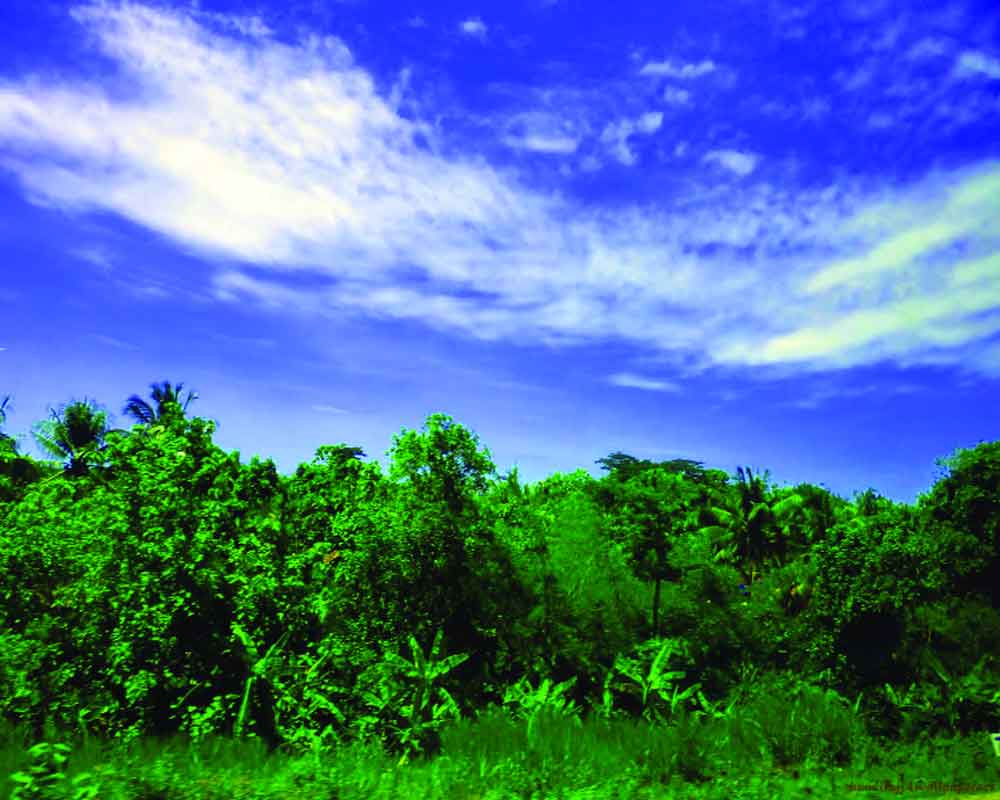 Time to REJECT FOSSIL  FUELS RIGHT AWAY