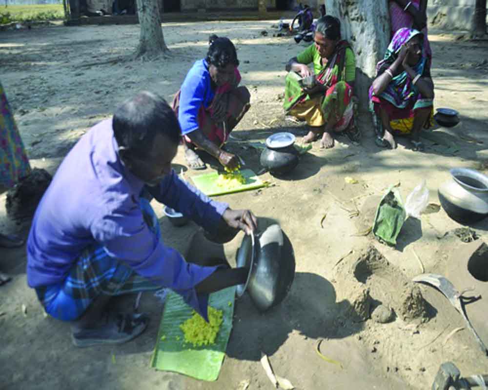 Tribals and their divinity concept