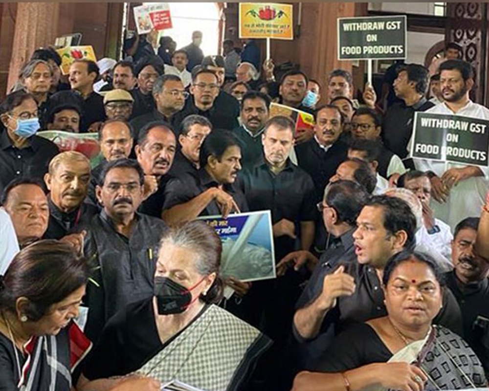 Cong MPs stage protest against price rise; Rahul, Priyanka among several leaders