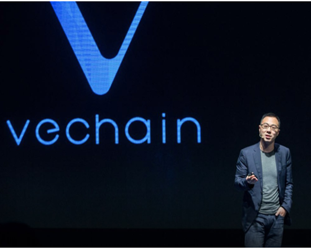 When Did VeChain get its Start?