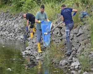 Cause for massive fish kill in German-Polish river unclear