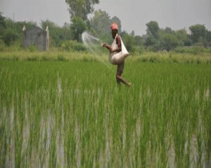 Indian insurers create 'fertiliser pool' to cover imports from Russia