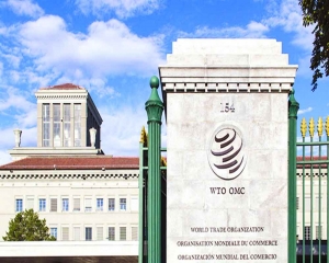WTO MC-12: Deft handling by India