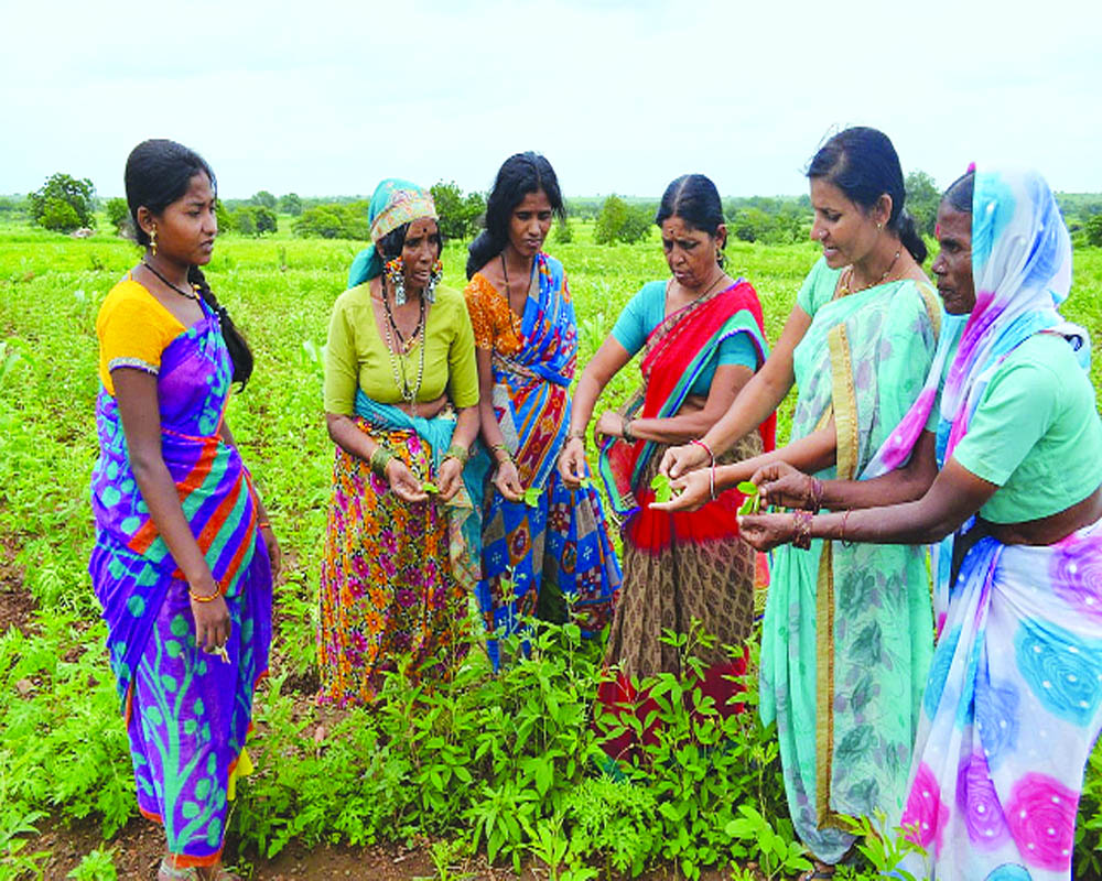 Climate-informed farming can be a boon for women farmers