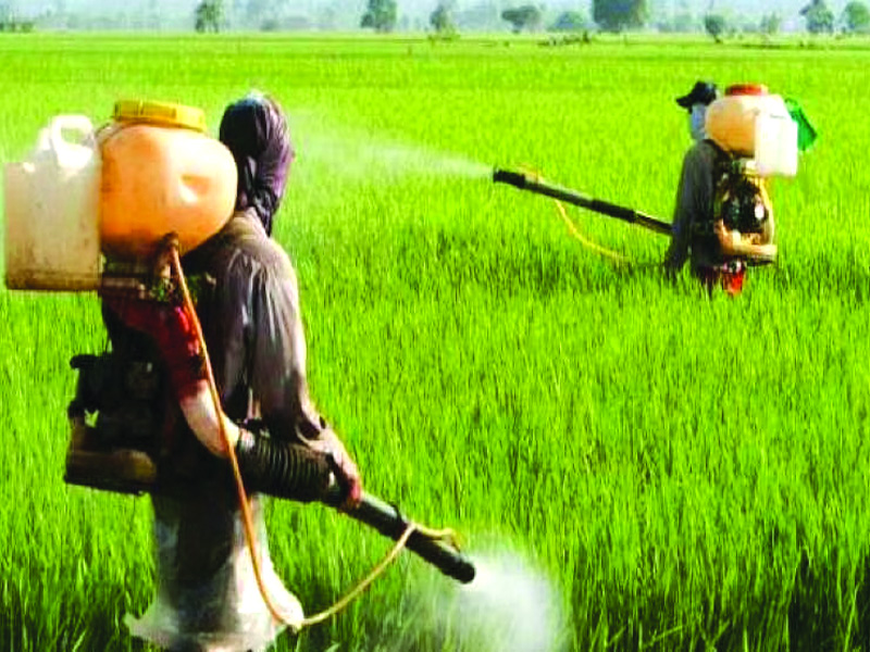 Govt flip-flop over banning pesticides