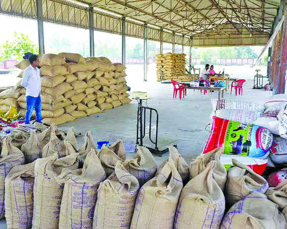 Govt to sell 30 L tonnes of wheat in open market to control prices of grain, flour