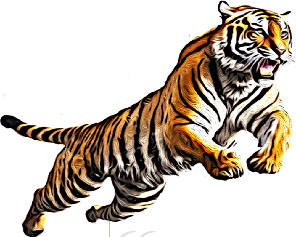 India’s TIGER triumph threatened