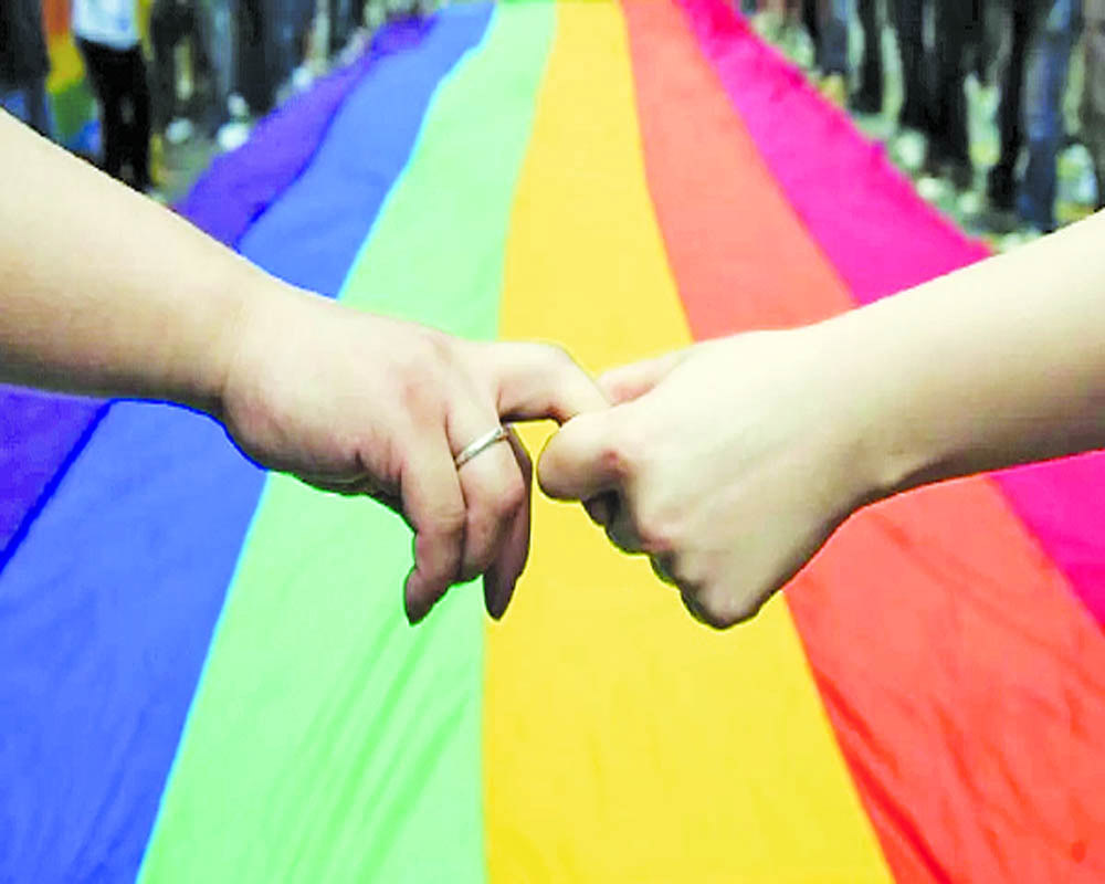 Pleas seeking legal validation of same-sex marriage reflect urban elitist views Centre to SC