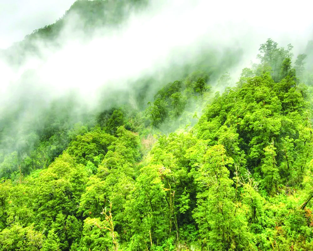 Shun development at the cost of environment