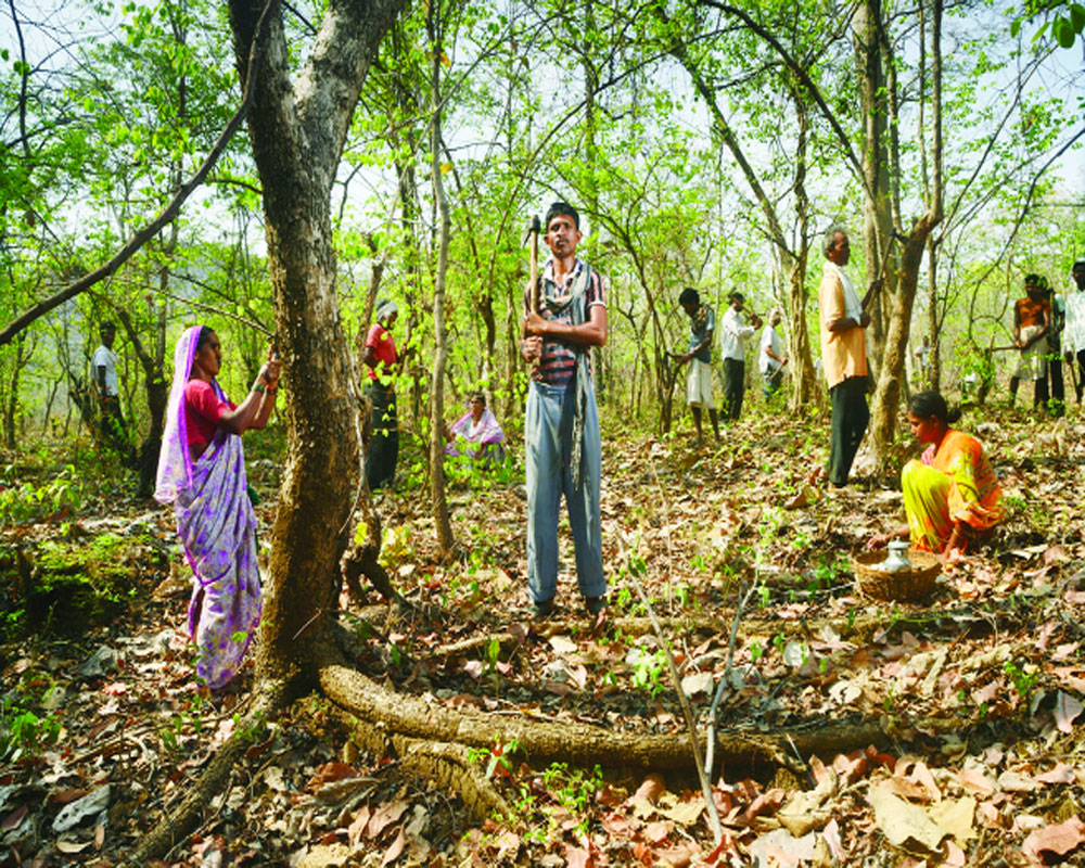 The democratisation of forestry: Indian Scenario