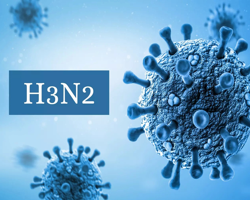 With H3N2 as predominant sub-type, combination of viruses causing infections