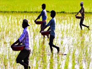 Govt must push to privatise fertiliser PSUs