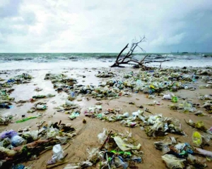 Marine debris hits India’s coastal economy