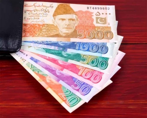 Pakistan rupee maintains freefall