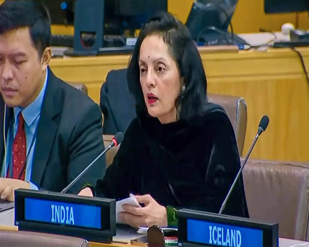 'Holds and blocks' in UNSC Sanctions Committees are 'disguised vetoes': India