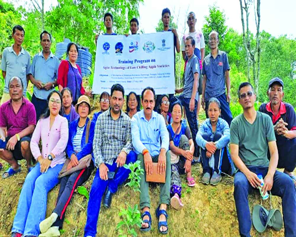 After apple cultivation success in Mizoram, CSIR to harvest new territories