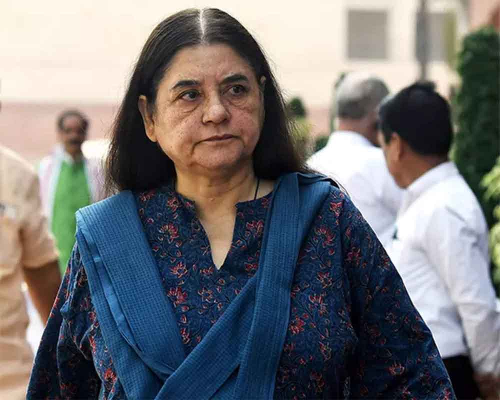 Can't think of one other reason: Maneka Gandhi on if writings critical of govt cost son ticket