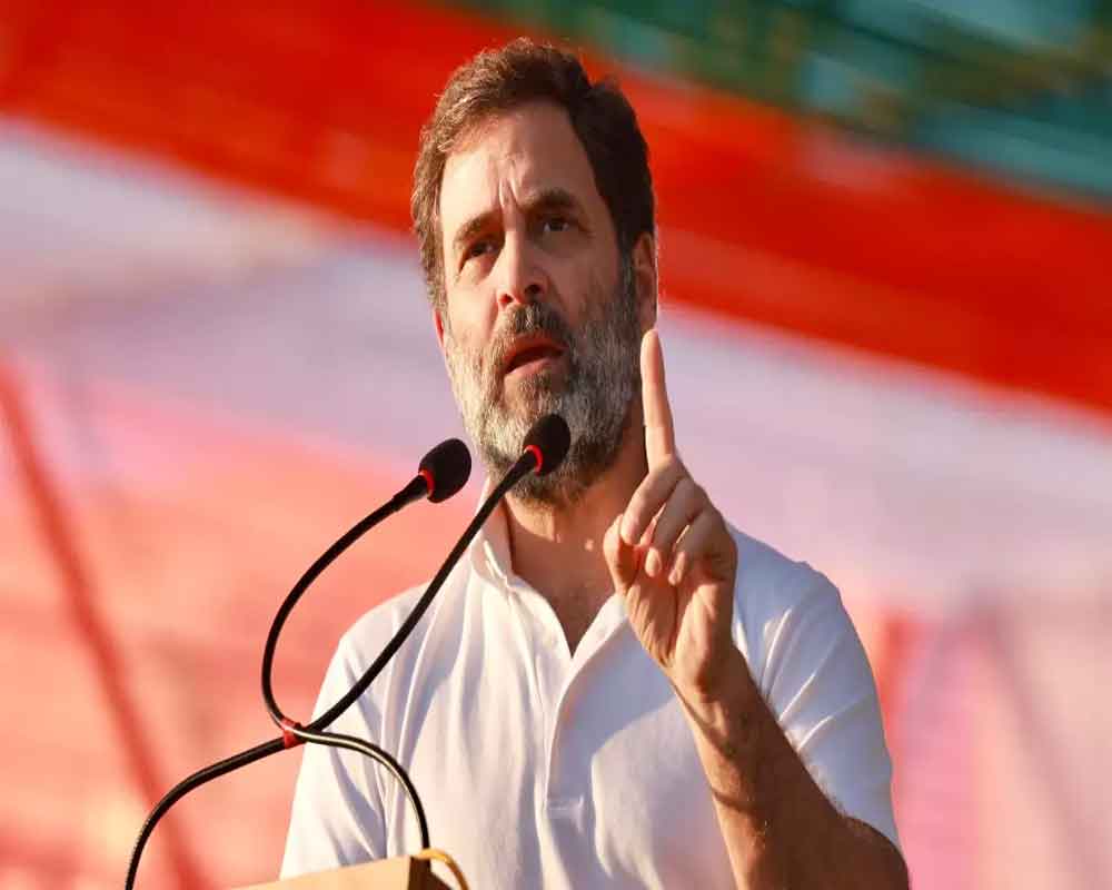 Congress will provide MSP to farmers `legally', says Rahul Gandhi in MP