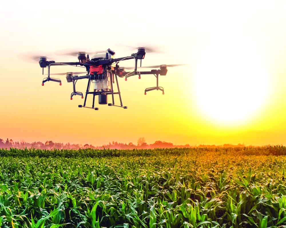 Drones can revolutionise the agriculture sector
