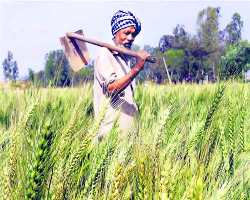 Farmers demand MSP protection