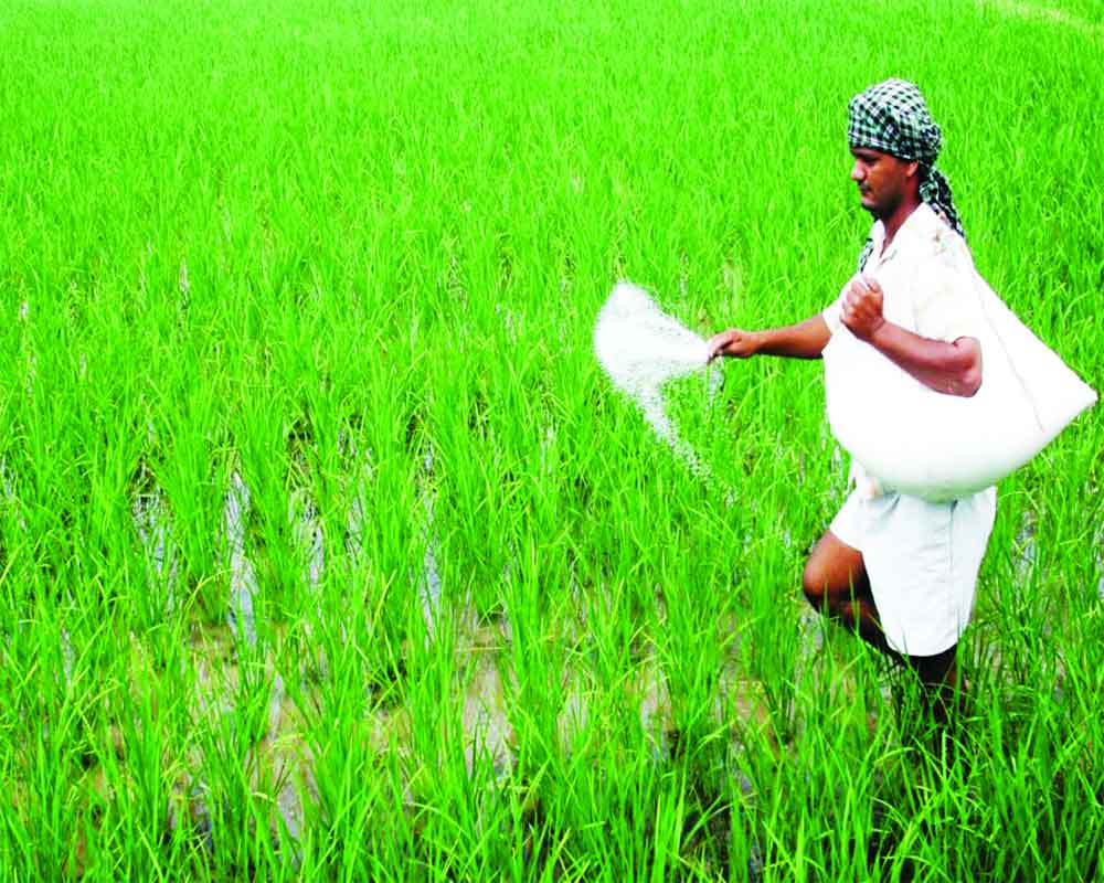 Govt should rope in PSU firms to ensure fermented organic manure off-take: IBA