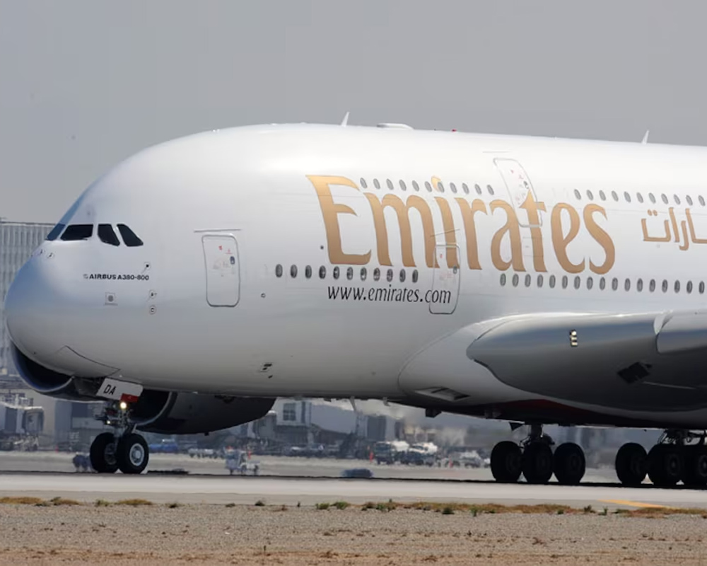Mumbai: 29 flamingos killed after Emirates flight hits them