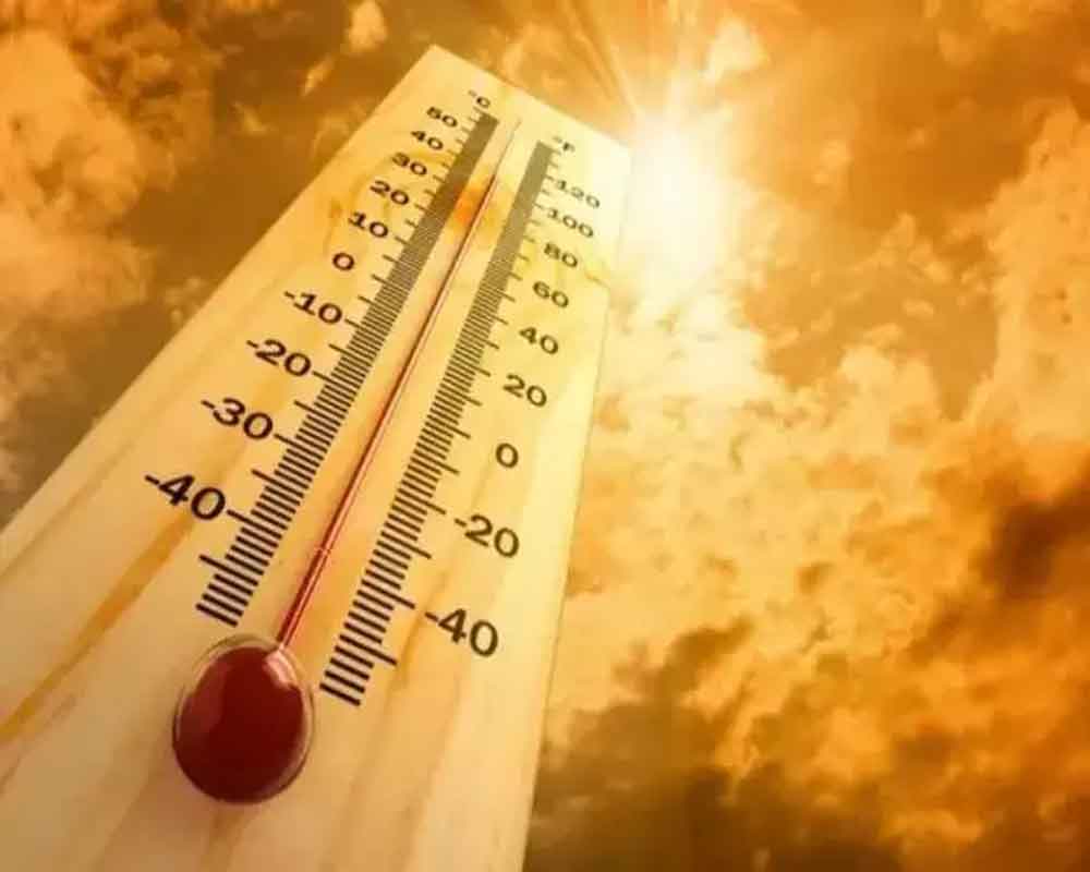 No let up in heat wave in Punjab, Haryana; Bathinda reels at 46.9 degrees  Celsius