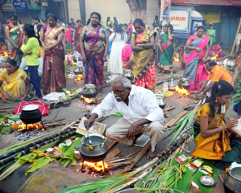 Pongal celebrated in TN with fervour, Udhayanidhi extends Tamil New Year greetings