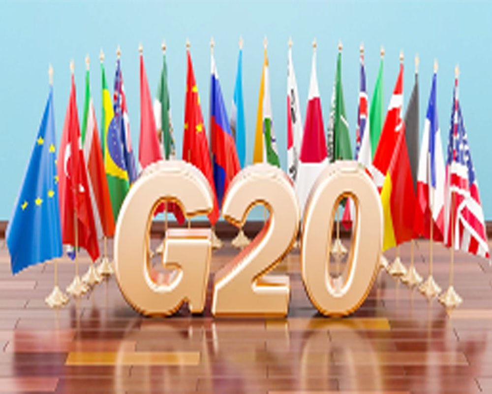 Taking G20 Summit to masses was masterstroke: Joint Secy Srinivasa in Johannesburg
