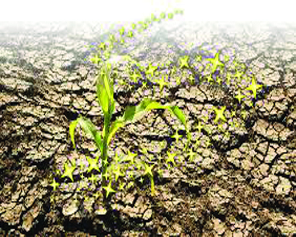 The key to tackling food security and climate change