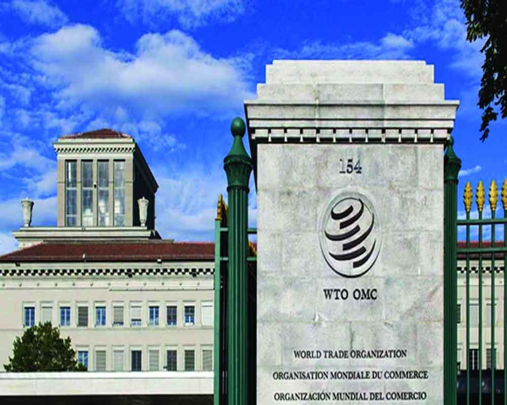 Tread the WTO quagmire with caution