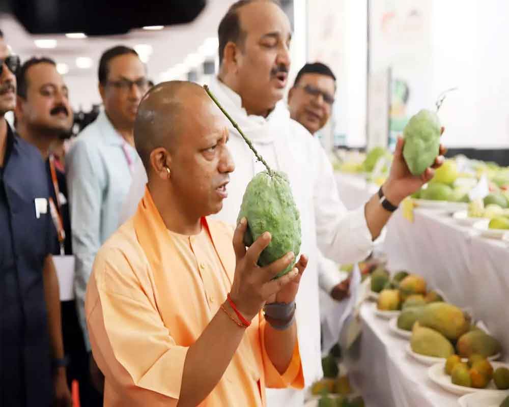 UP will export 40 tonnes of mangoes to Japan, Malaysia this year: CM Adityanath