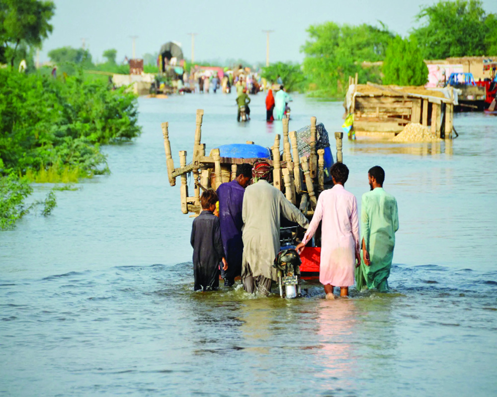 Why technology canâ€™t ease peopleâ€™s suffering