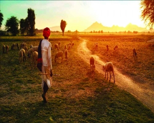 Govt schemes are transforming lives in rural Rajasthan