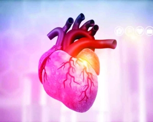 Insights into India’s growing heart health crisis