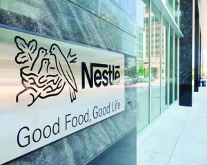 Nestle shares continue to decline; mcap erodes by Rs 10,610.55 crore in two days