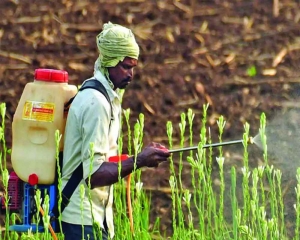 Plug leakages in fertiliser subsidy