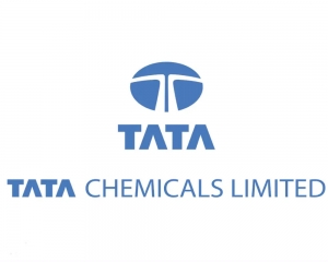 Tata Chemicals shares decline 4.50 pc after fourth quarter earnings