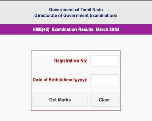 TN Results: Class XII board exam results announced; pass percentage improves over previous year