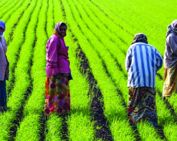 How consumer trust can make natural farming scalable and self-sustaining