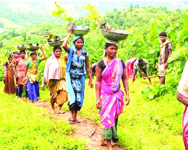 Reductionism and holism: Saving forest in a climate crisis