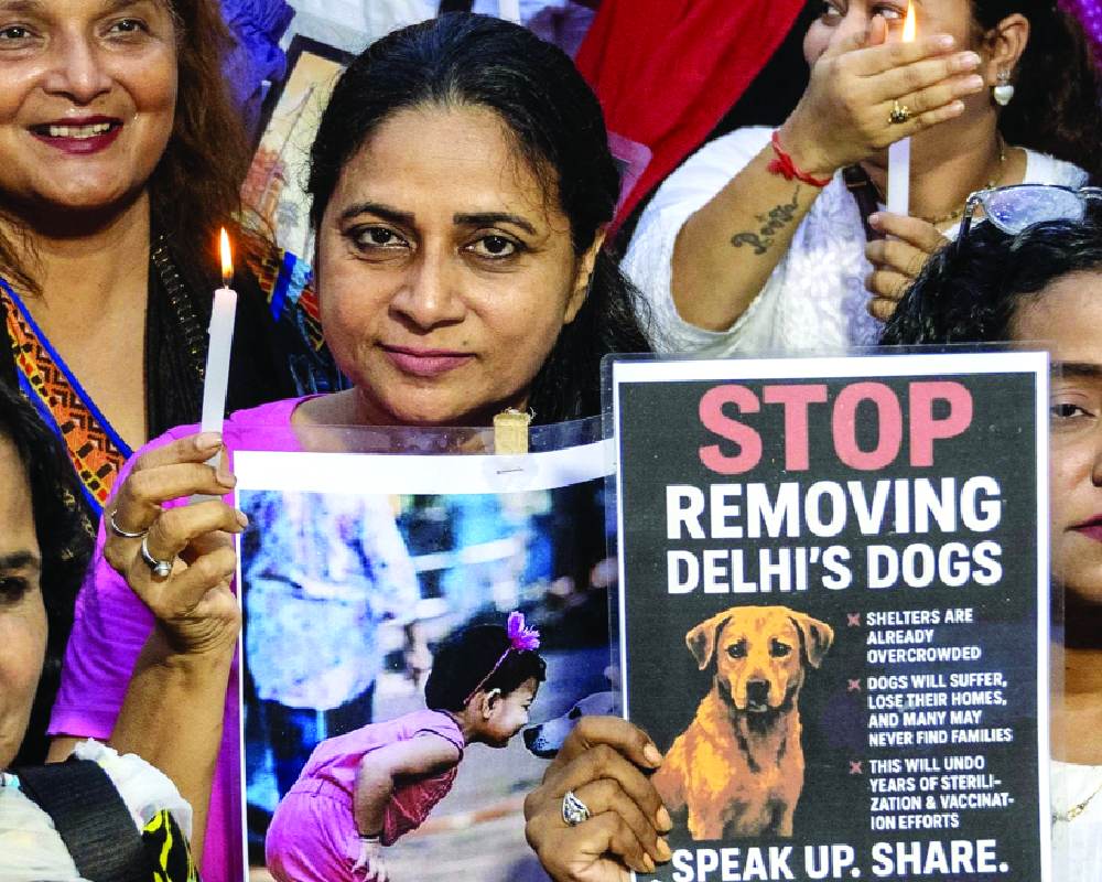 Animal lovers protest SC order on stray dog relocation
