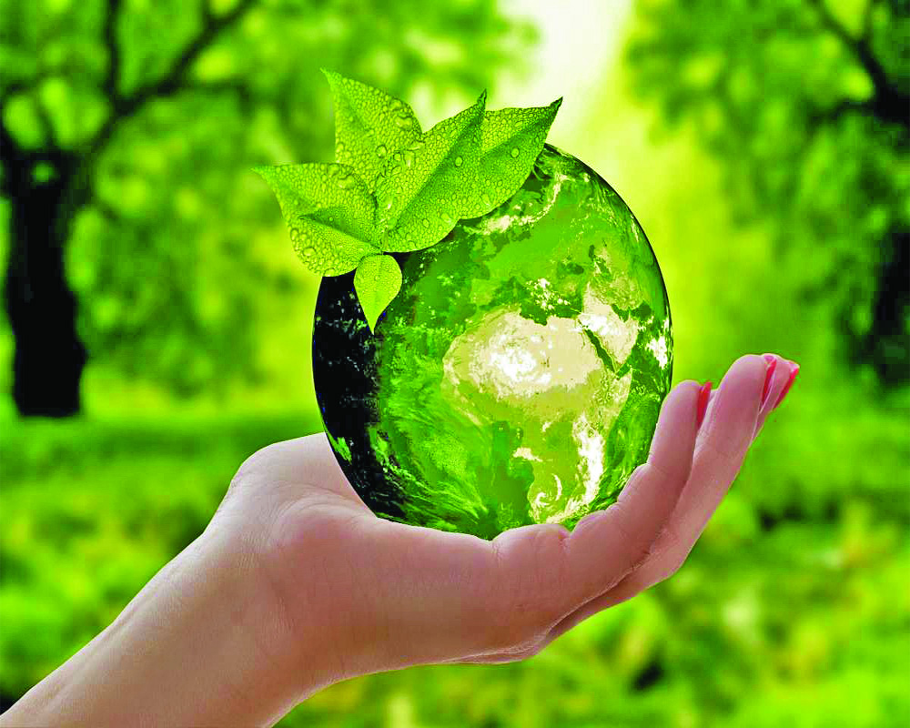 Beyond DDT: Indiaâ€™s push for eco-friendly alternatives amid global pressure