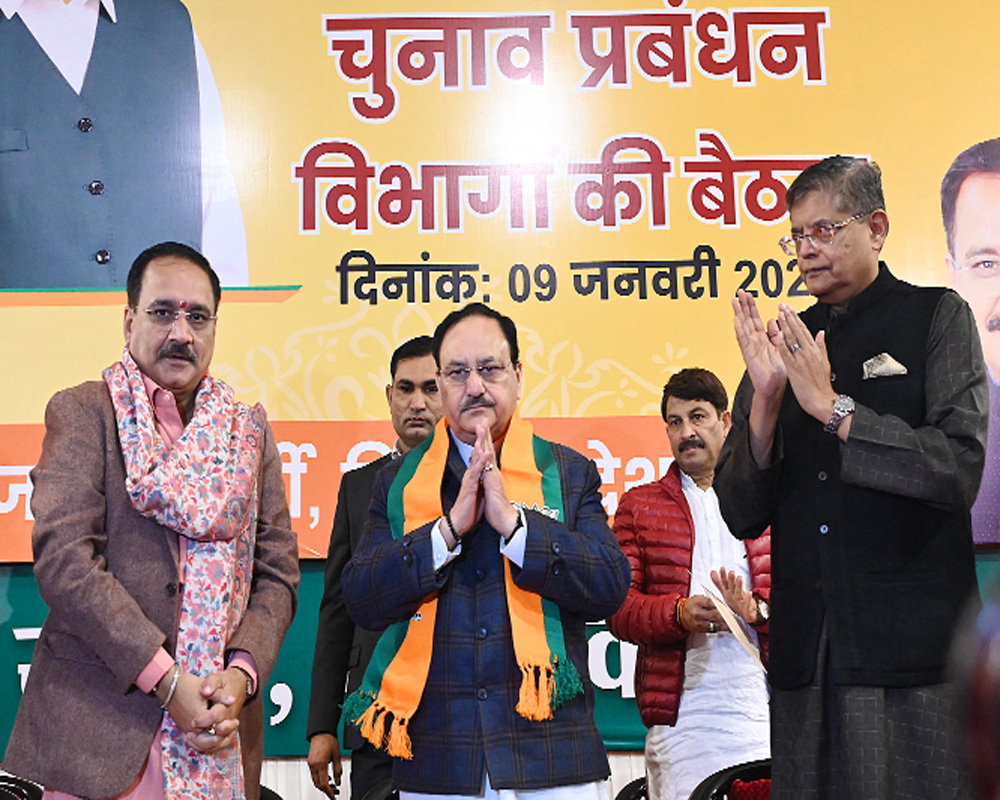 Bijli, Paani free on BJPâ€™s poll platter?