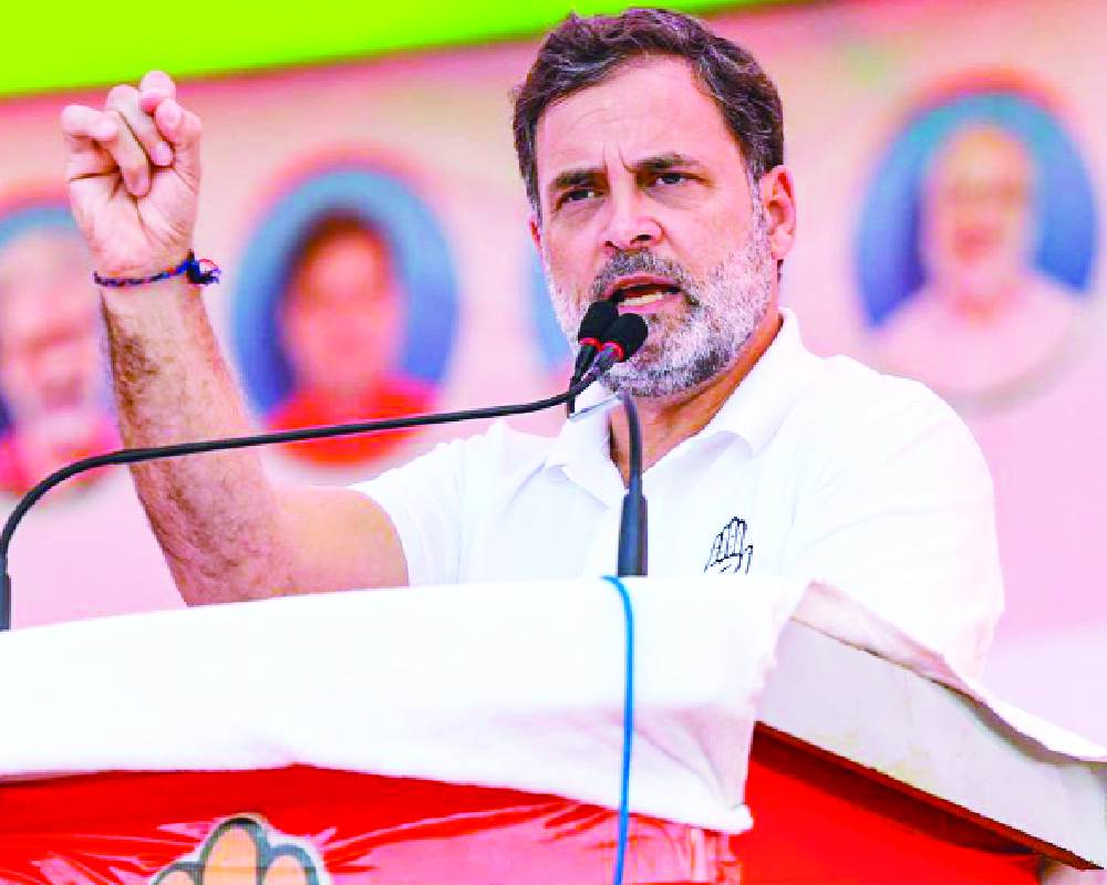 BJP stealing votes, will try to do in Bihar as well, alleges Rahul