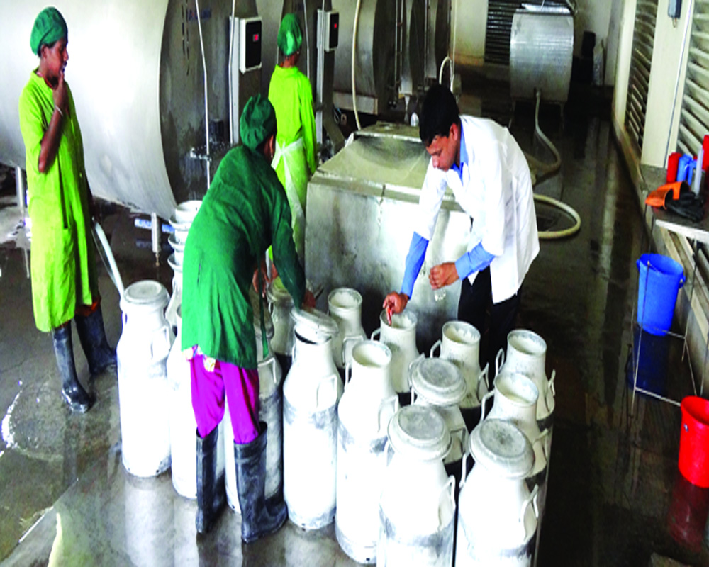 Cooperative university to power dairy sector