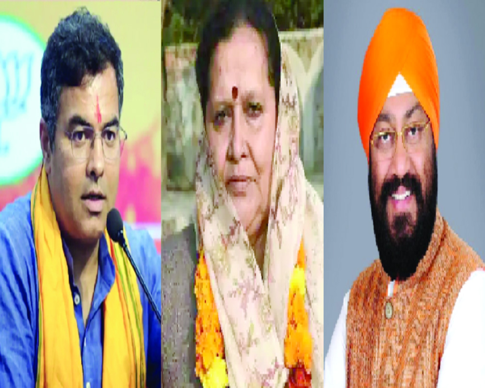 Delhi polls: Zero assets, billionaires, and criminals