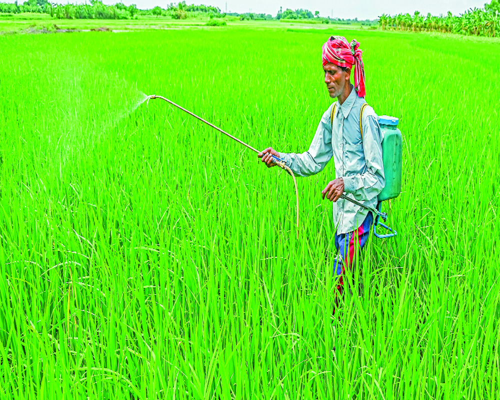 Donâ€™t undermine oil self-reliance to fund fertiliser subsidy